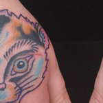 Tattoos - Crazy Cat Hands - 109890